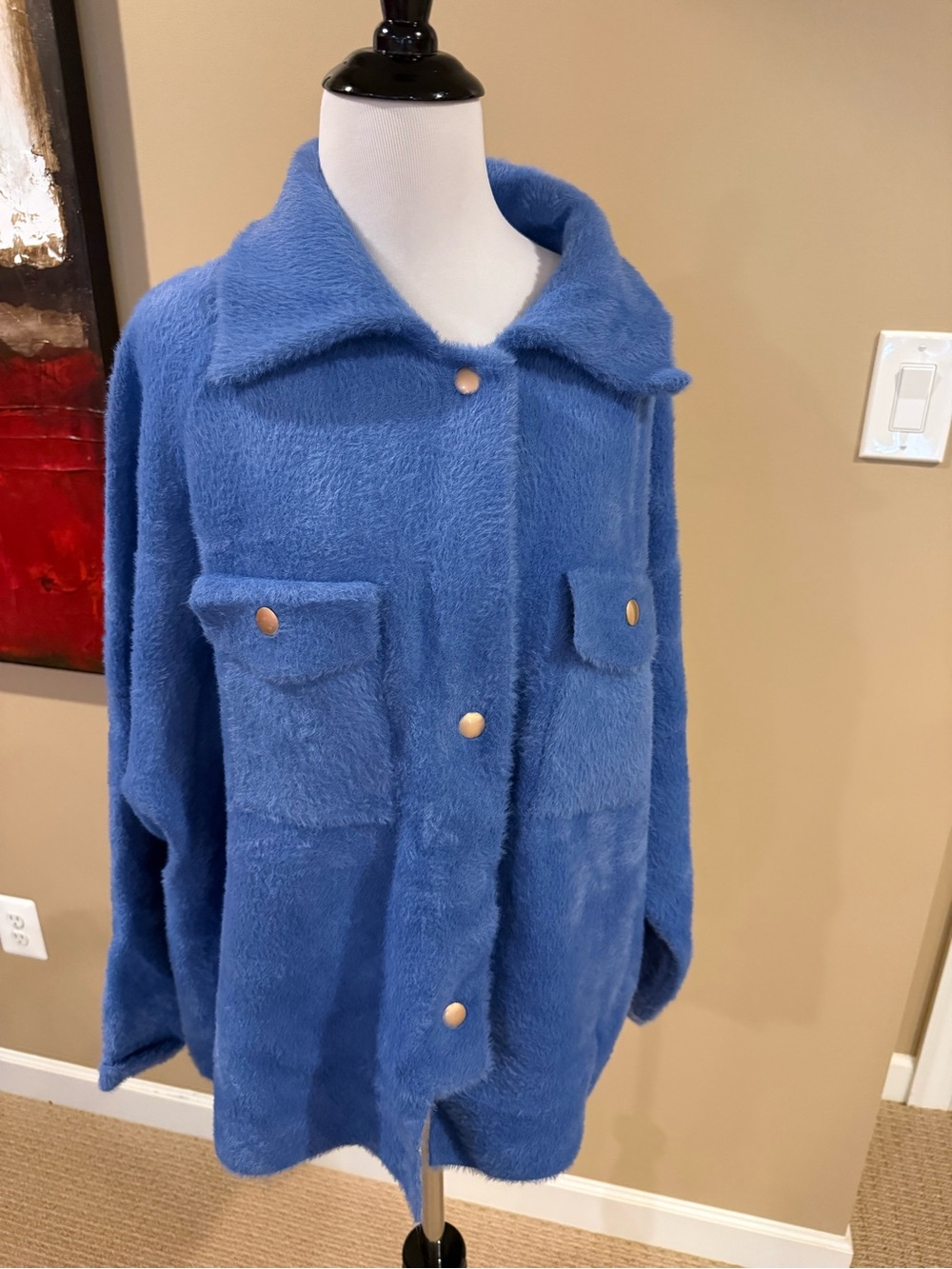 BUCKETLIST Blue Plush Snap-Front Teddy Jacket